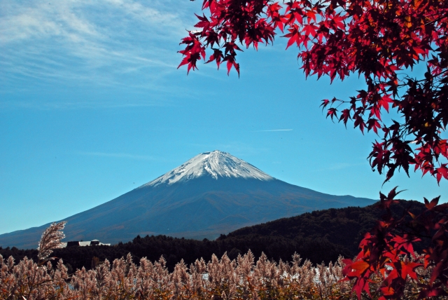 Mt. Fuji